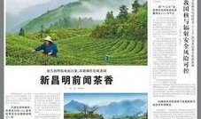 新昌县最新爆料消息,揭秘当地发展新动态与民生热点